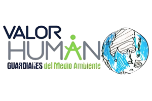Bunzl LATAM, Safety, Food Packaging, Hygiene & Healthcare